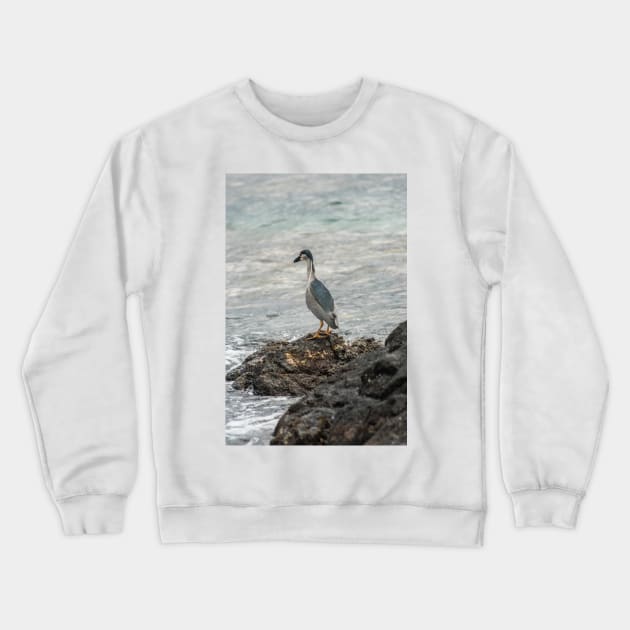 Black-crowned night heron of hawaii 7 Crewneck Sweatshirt by KensLensDesigns